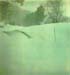 blizzard78B