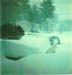 blizzard78C