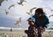 seagullsfeed2_jpg